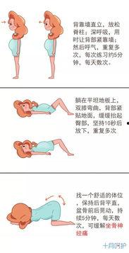 盆底肌肉训练视频