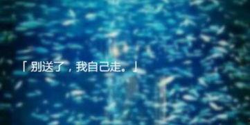 对不起别送了视频,视频揭示人际交往中的情感纠葛