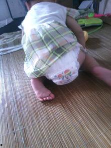 依可爱爬爬裤视频,宝宝学步新伙伴