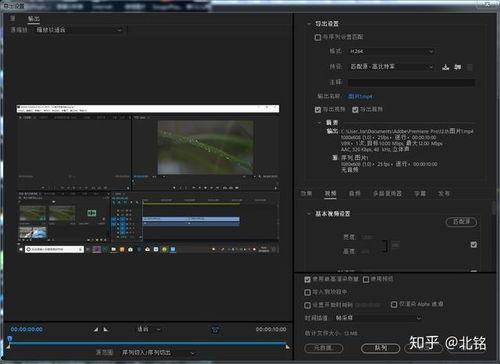 pr 视频剪辑教程,从入门到精通的实用攻略