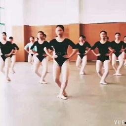 太阳舞蹈教学视频,跟随节奏，舞动阳光活力