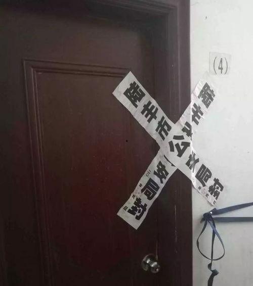 视频赌暗宝,视频中的神秘宝藏之旅