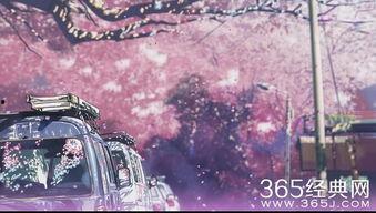 秒速五厘米视频,时光流转中的青春记忆