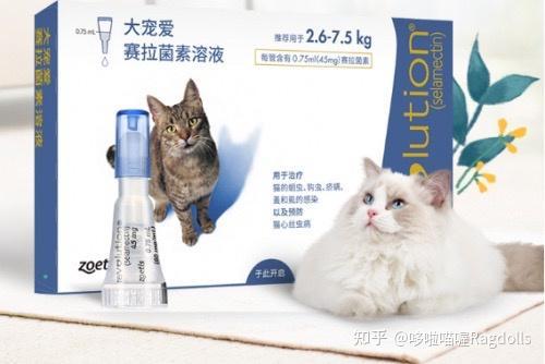 猫咪体外驱虫视频,视频教程详解